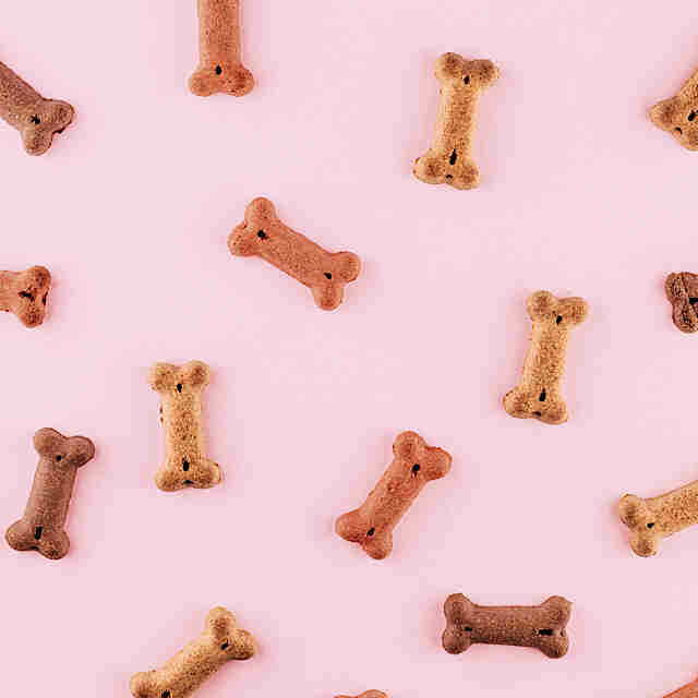 Dog treats