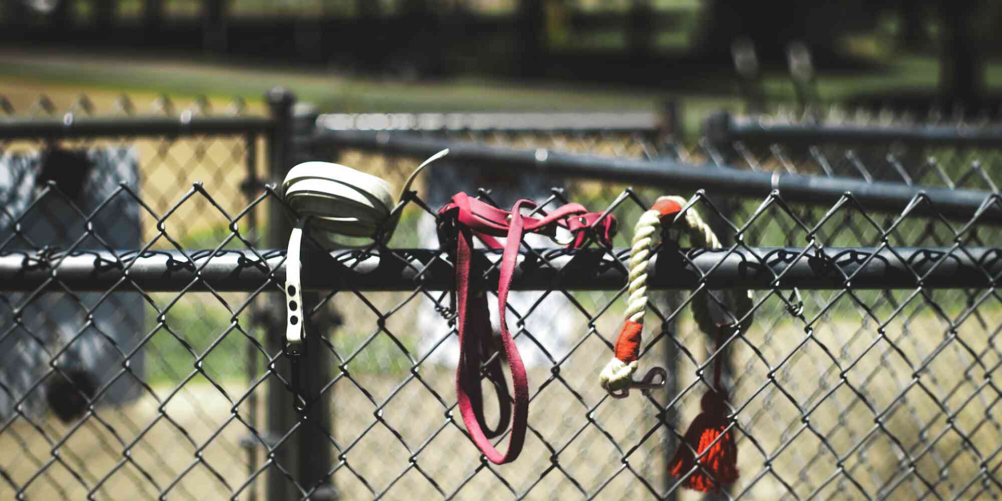 Leashes and training tools laying on top on the gate to a dog park