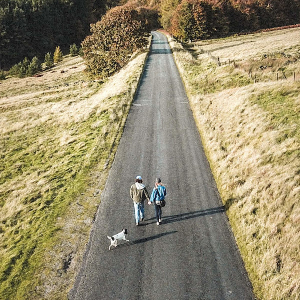 A couple walking down the street with their dog.