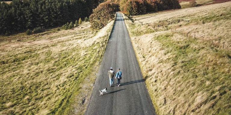 A couple walking down the street with their dog.