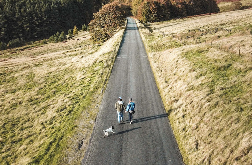 A couple walking down the street with their dog.