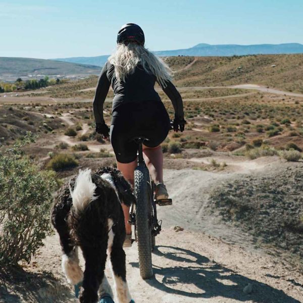 Large fluffy dog jogging beside female biker in the desert