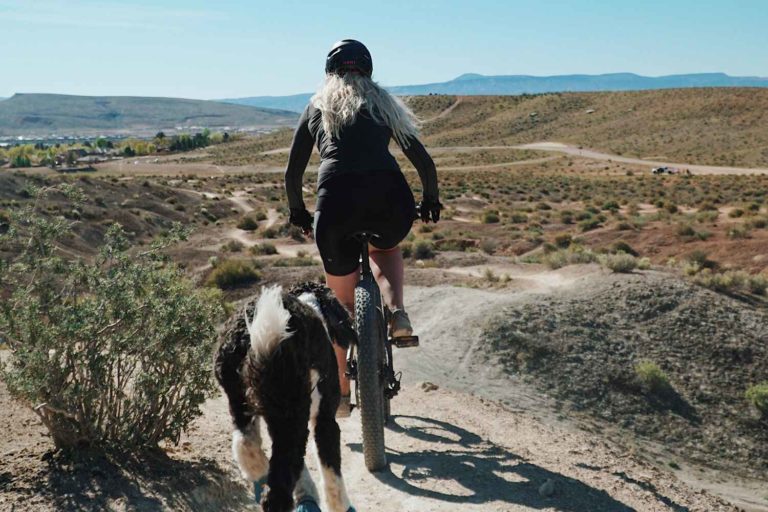 Large fluffy dog jogging beside female biker in the desert