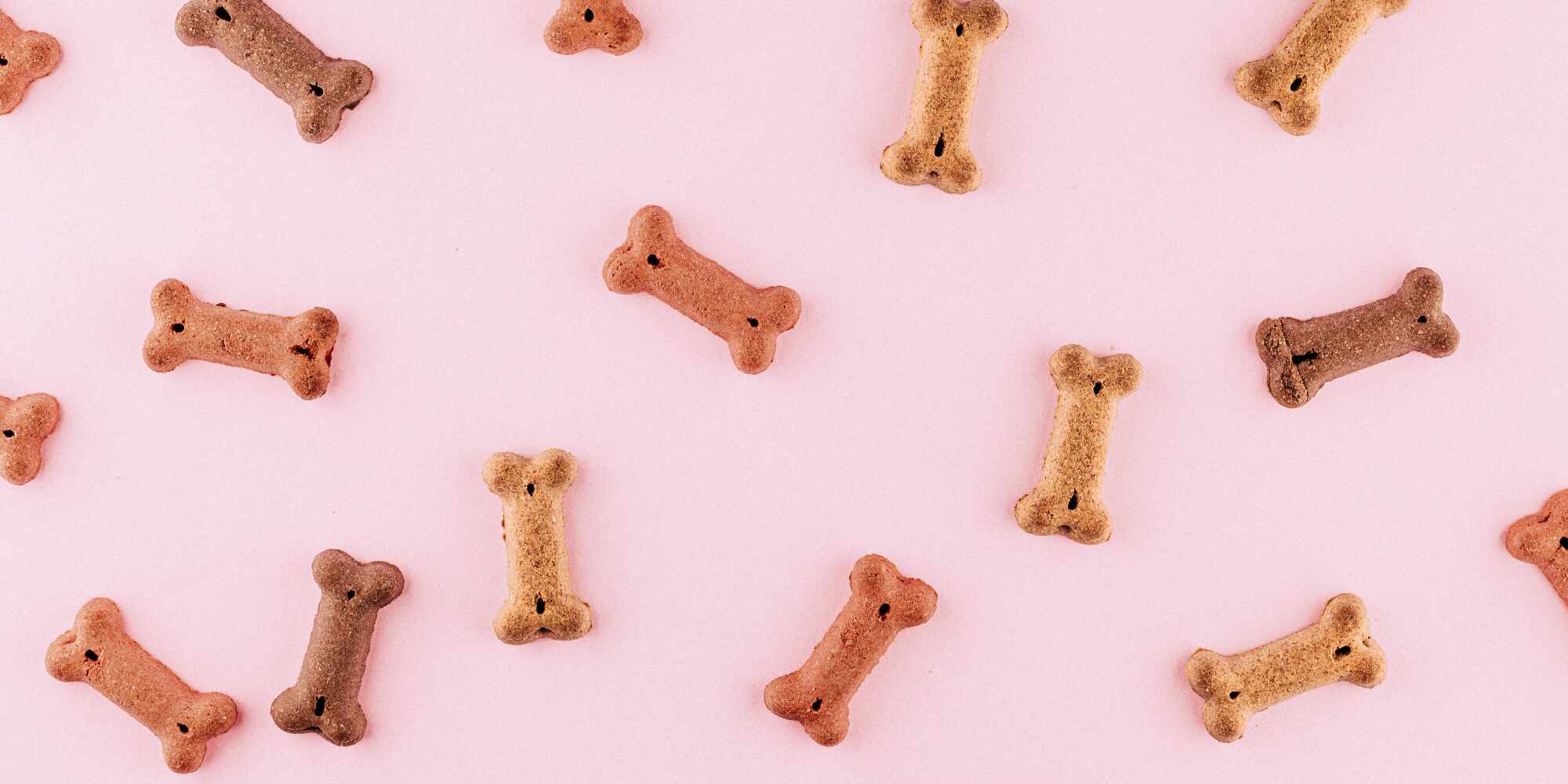 dog bone teats with a pink background