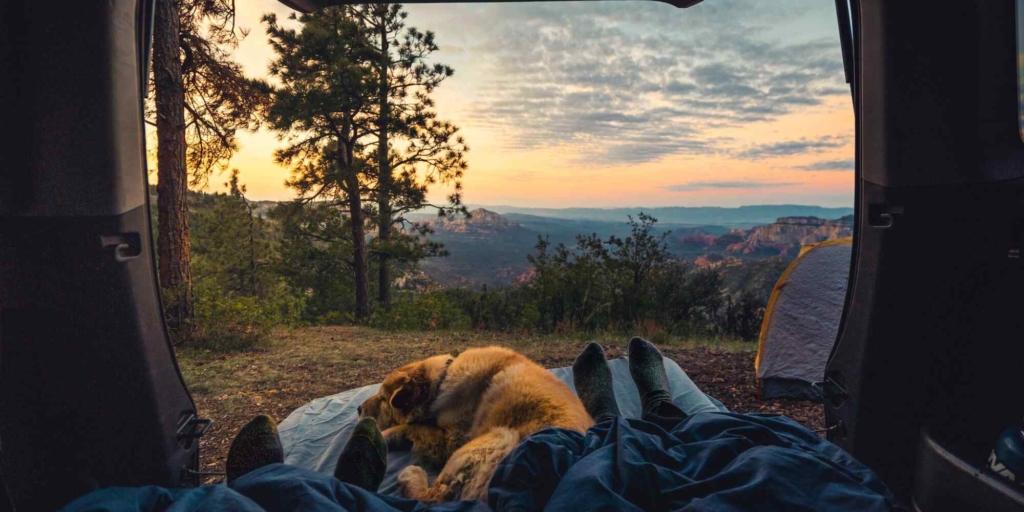 large yellow dog sleeping beside owner's leg in the back trunk in front of a foresty mountain.